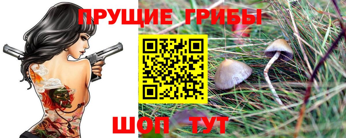 Галлюциногенные грибы мицелий  Вход с VPN  Тулун 