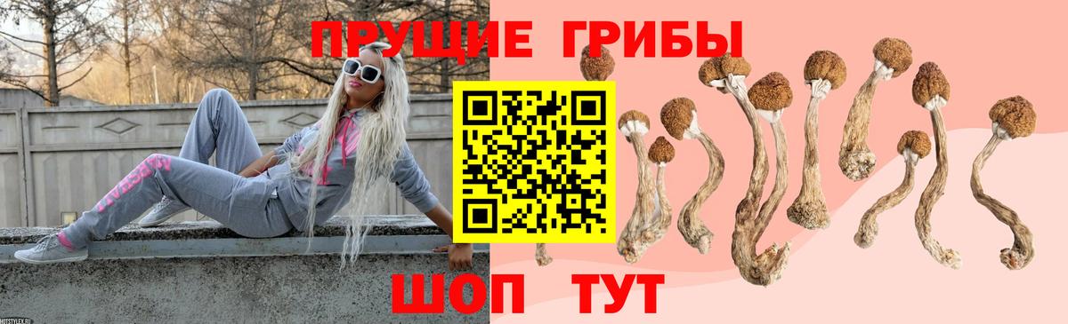 Галлюциногенные грибы ЛСД Тулун